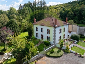 demeure à la vente -   55300  LACROIX SUR MEUSE, surface 242 m2 vente demeure - UBI441459458